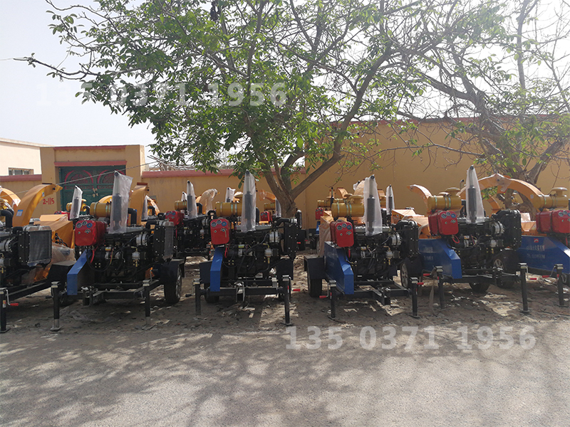 河源市園林小型樹枝粉碎機(jī)