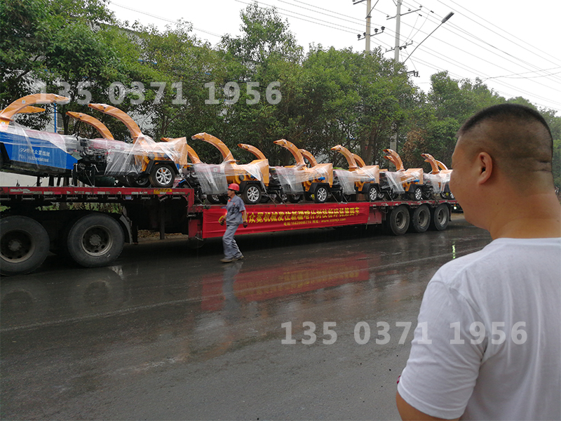小型果樹枝粉碎機
